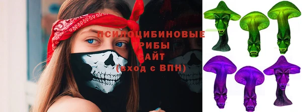 ГАЛЛЮЦИНОГЕННЫЕ ГРИБЫ Краснотурьинск