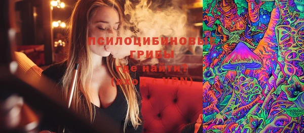 ГАЛЛЮЦИНОГЕННЫЕ ГРИБЫ Краснотурьинск